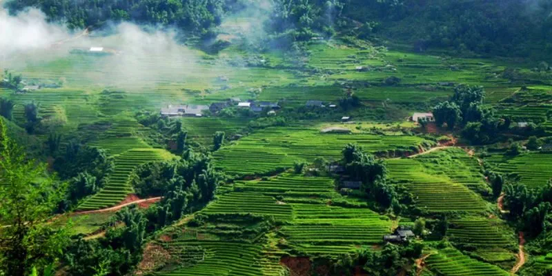 Sống tử tế